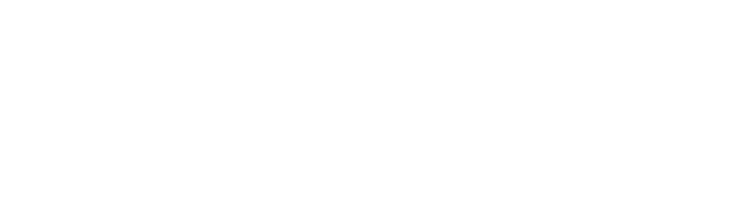 SpeedPro logo white